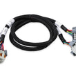 Load image into Gallery viewer, Holley LS Coil Ext. Harness 36in 2pk 558-326