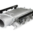 Load image into Gallery viewer, Holley LS Lo-Ram EFI Intake Manifold Kit 300-621