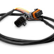 Load image into Gallery viewer, Holley LTS Extension Cable 534-199