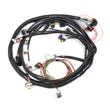 Load image into Gallery viewer, Holley Main Harness - Universal MPFI 558-104
