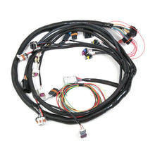 Load image into Gallery viewer, Holley Main Harness - Universal MPFI 558-104