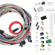 Load image into Gallery viewer, Holley Main Harness - Univesal Un-Terminated 558-105