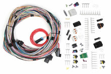 Load image into Gallery viewer, Holley Main Harness - Univesal Un-Terminated 558-105