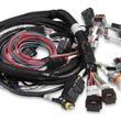 Load image into Gallery viewer, Holley Main Wire Harness  Hemi Late  W/ TPS &amp; IAC 558-116