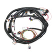 Load image into Gallery viewer, Holley Main Wiring Harness LS2 &amp; LS3 558-103