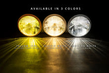 Load image into Gallery viewer, Holley RetroBright LED Forward Facing Light - Yellow Lens Retrobright - Additional View 10