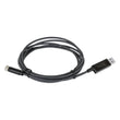 Load image into Gallery viewer, Holley Sniper 2 CAN to USB Dongle Comm. Cable 558-495