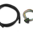 Load image into Gallery viewer, Holley Sniper EFI Input/Output Harness Sniper EFI Systems 558-491 - Main Product View