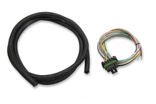 Load image into Gallery viewer, Holley Sniper EFI Input/Output Harness Sniper EFI Systems 558-491 - Main Product View