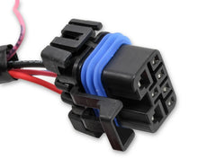 Load image into Gallery viewer, Holley Sniper EFI Main Battery Harness with Fuse and Fuel Pump Relay 558-490 - Back View