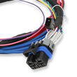 Load image into Gallery viewer, Holley Sniper EFI Stealth 4150 - Classic Gold 550-872 fits 1952-1996 AC / Allard / American Motors - Additional View 13