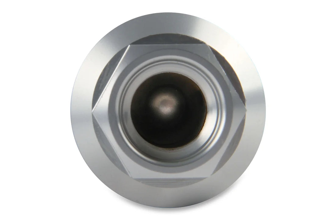 Holley Street/Strip EFI Applications  Post Filter 10 Micron - Side View