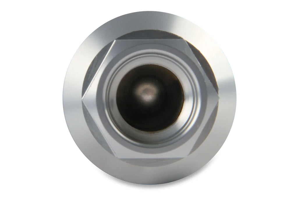Holley Street/Strip EFI Applications  Post Filter 10 Micron - Side View