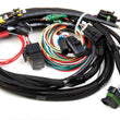 Load image into Gallery viewer, Holley TPI Stealth Ram Main Harness 558-101