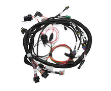 Load image into Gallery viewer, Holley Universal MPFI Coil On Plug Main Harness 558-117
