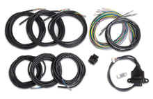 Load image into Gallery viewer, Holley Wiring Harness - EFI Digital Dash I/O Adapter 558-433