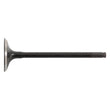 Load image into Gallery viewer, Hot Cams 07-21 CRF 150 R/07-21 CRF 150 RB Big Wheel Steel Intake Valve
