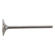 Load image into Gallery viewer, Hot Cams 10-17 CRF 250 R Titanium Intake Valve