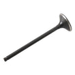 Load image into Gallery viewer, Hot Cams 99-08 TRX 400 EX/09-14 TRX 400 X/96-04 XR 400 R Steel Exhaust Valve - Detail View