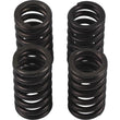 Load image into Gallery viewer, Hot Cams Valve Spring Kit, ea, 1
