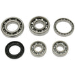 Load image into Gallery viewer, Hot Rods 01-08 Honda TRX 250 EX 250cc Transmission Bearing Kit - Back View