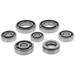 Load image into Gallery viewer, Hot Rods 02-08 Yamaha YFM 660 F Grizzly 4x4 660cc Transmission Bearing Kit - Side View