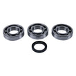 Load image into Gallery viewer, Hot Rods 04-05 ATP 500 4x4/11-14 Hawkeye 400 HO 2x4 Main Bearing &amp; Seal Kit