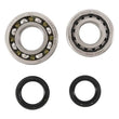 Load image into Gallery viewer, Hot Rods 04-05 Honda TRX 450 ER 450cc Main Bearing &amp; Seal Kit - Detail View
