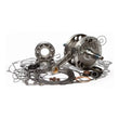 Load image into Gallery viewer, Hot Rods 04-05 Kawasaki KX 250 F 250cc Bottom End Kit