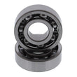 Load image into Gallery viewer, Hot Rods 05-09/2011 TRX 500 FE/05-09/2011 TRX 500 FM/05-06 TRX 500 TM Counter Balancer Kit