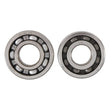 Load image into Gallery viewer, Hot Rods 06-09 Suzuki LT-R 450 450cc Main Bearing &amp; Seal Kit - Side View