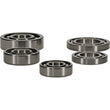 Load image into Gallery viewer, Hot Rods 09-13 Honda TRX 420 FPA IRS 420cc Transmission Bearing Kit - Side View