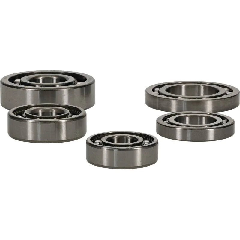 Hot Rods 09-13 Honda TRX 420 FPA IRS 420cc Transmission Bearing Kit - Side View