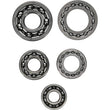 Load image into Gallery viewer, Hot Rods 09-13 Honda TRX 420 FPA IRS 420cc Transmission Bearing Kit - Back View