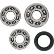 Load image into Gallery viewer, Hot Rods 09-20 Polaris RZR 170 170cc Counter Balancer Kit - Back View