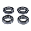 Load image into Gallery viewer, Hot Rods 14-20 Scrambler 1000 XP/2021 Scrambler 1000 XP 55 Counter Balancer Kit