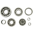 Load image into Gallery viewer, Hot Rods 16-21 Pioneer 500/07-21 TRX 420 FE/07-21 TRX 420 FM Transmission Bearing Kit - Main Product View