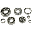 Load image into Gallery viewer, Hot Rods 16-21 Pioneer 500/07-21 TRX 420 FE/07-21 TRX 420 FM Transmission Bearing Kit - Detail View