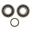 Load image into Gallery viewer, Hot Rods 2011 KTM 250 SX-F 250cc Main Bearing &amp; Seal Kit - Detail View