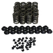 Load image into Gallery viewer, Howards Cams Inc 1.250 Valve Spring Kit Single w/Damper 98214-K11