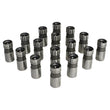 Load image into Gallery viewer, Howards Cams Inc .874 Hyd Lifter Set - Direct Lube fits Ford V8