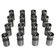 Load image into Gallery viewer, Howards Cams Inc BBF FE Hyd. Lifter Set 91251