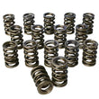 Load image into Gallery viewer, Howards Cams Inc Dual Valve Springs - 1.437 98441