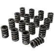 Load image into Gallery viewer, Howards Cams Inc Dual Valve Springs - 1.540 98637
