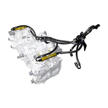 Load image into Gallery viewer, IAG Performance PTFE Flex Fuel Syst Kit w/ FIC Injectors, Aeromotive FPR, IAG Fuel Rails (Gold) IAG-AFD-2342GD - Side View