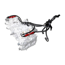 Load image into Gallery viewer, IAG Performance PTFE Flex Fuel System Kit w/ FIC Injectors, Aeromotive FPR, IAG Fuel Rails (Red) IAG-AFD-2346RD - Side View