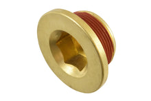Load image into Gallery viewer, ICT Billet LS &amp; LT Engine Block Coo lant Water Drain 551282