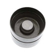 Load image into Gallery viewer, INA US Hydraulic Valve Lifter 4200043100