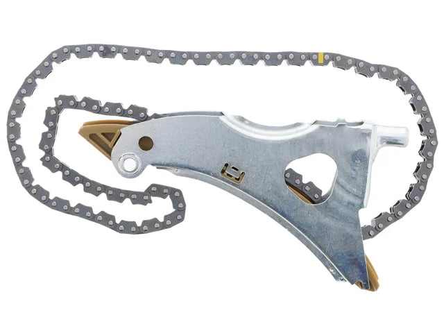 INA US Timing Chain 5530332100