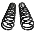 Load image into Gallery viewer, Icon 21-24 Raptor Triple Rate Coil Spring Kit - Additional View 6